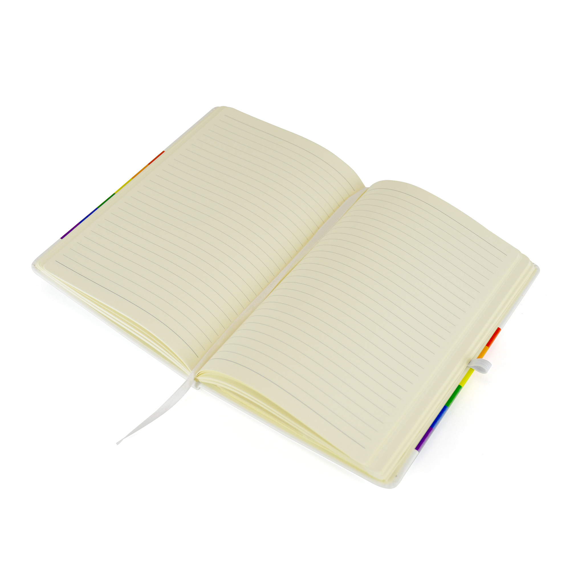 Picture of Rainbow Mole Notebook
